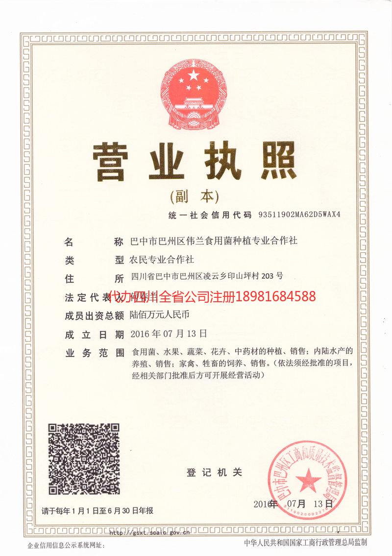 耒阳耒阳伟兰食用菌种植专业合作社